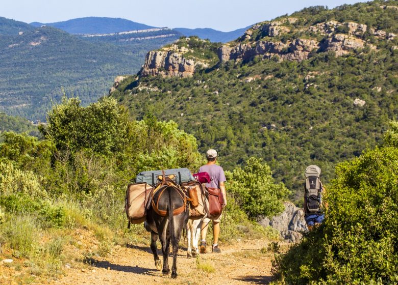 ANERIES DE CATHAR