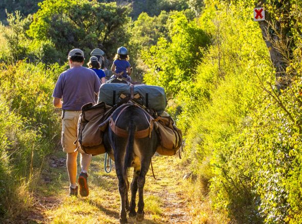 Randonner avec un âne
