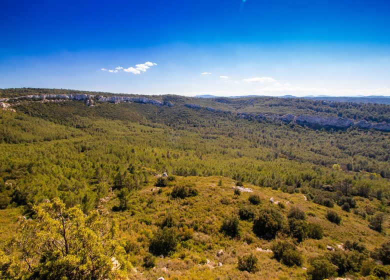 ETAPE 1 LA RONDE AU CŒUR DES CORBIERES FONTJONCOUSE – SAINT LAURENT DE LA CABRERISSE