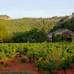 CHÂTEAU PRIEURÉ BORDE ROUGE