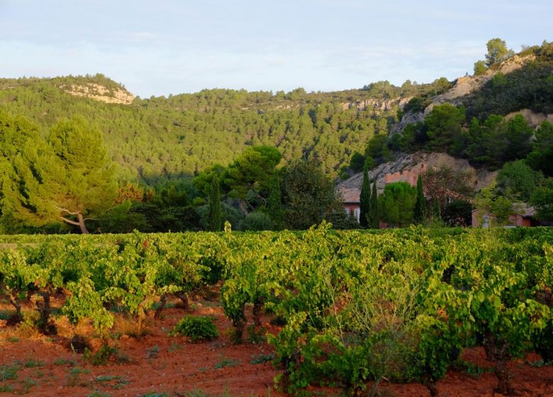 CASTILLO DEL PRIORATO DE BORDE ROUGE