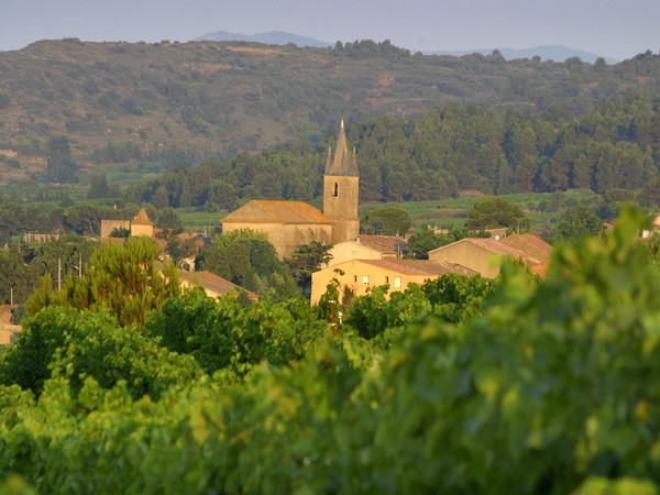 FROM MINERVOIS TO CORBIERES