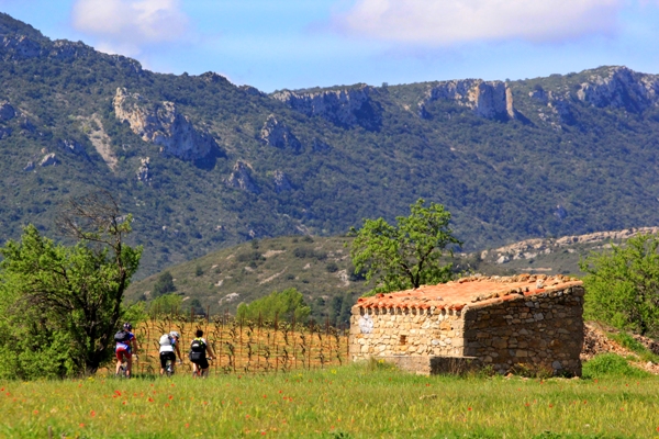 CAMINANT A L’OMBRA DE LES CIUTATES