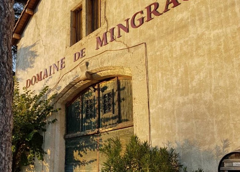 DOMAINE DE MINGRAUT