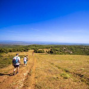 LE FER OUBLIÉ DU PLATEAU DE LACAMP