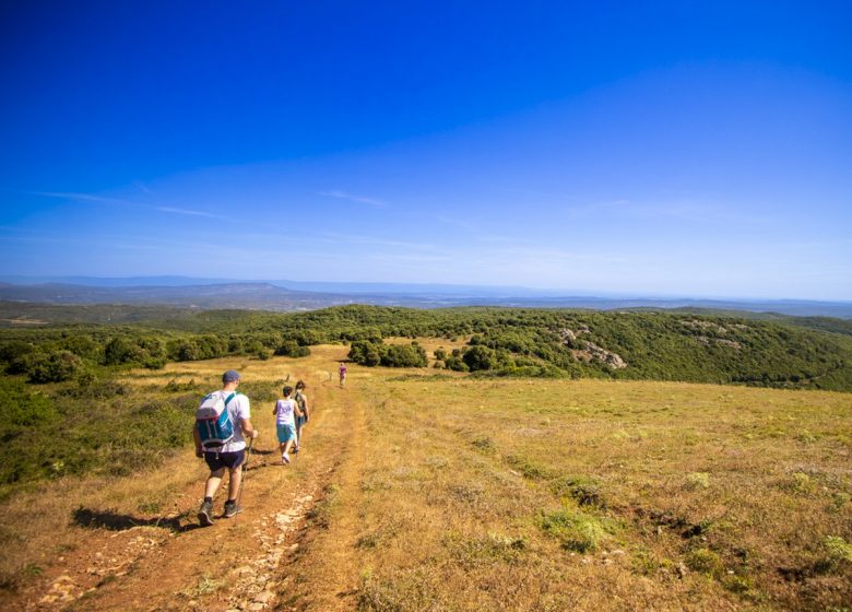 LE FER OUBLIÉ DU PLATEAU DE LACAMP