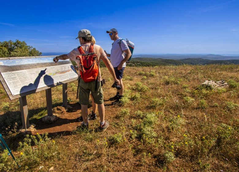 THE FORGOTTEN IRON OF THE LACAMP PLATEAU