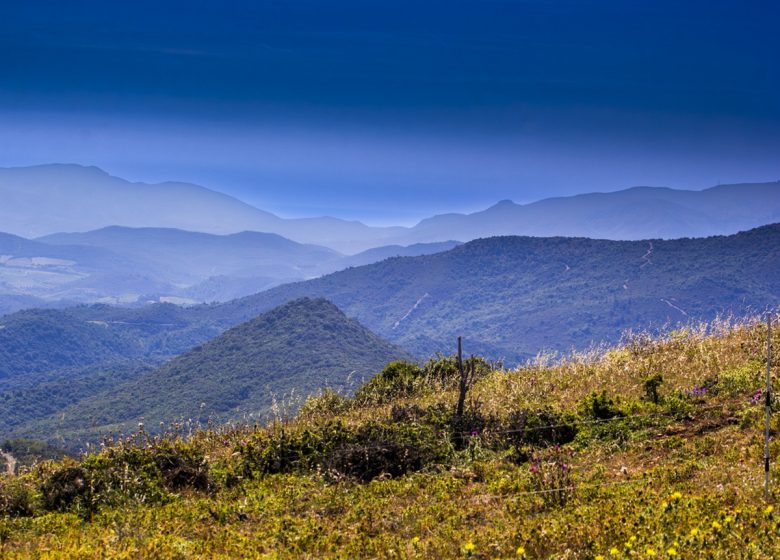 THE FORGOTTEN IRON OF THE LACAMP PLATEAU