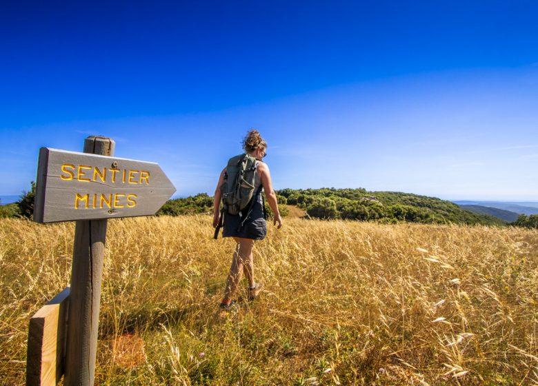 LE FER OUBLIÉ DU PLATEAU DE LACAMP