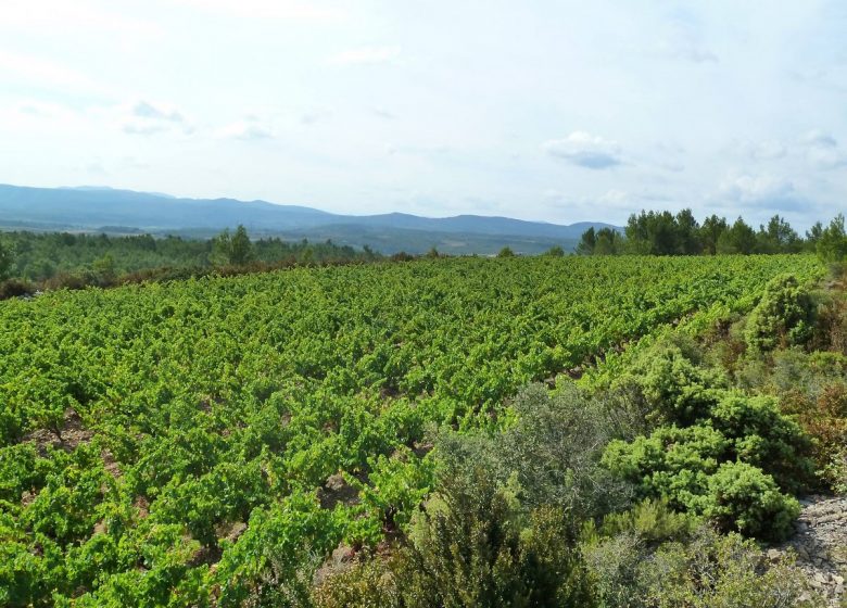 DOMAINE DU GRAND CRÈS