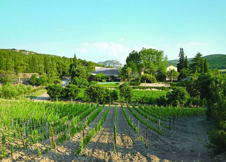 CHÂTEAU HAUT GLÉON