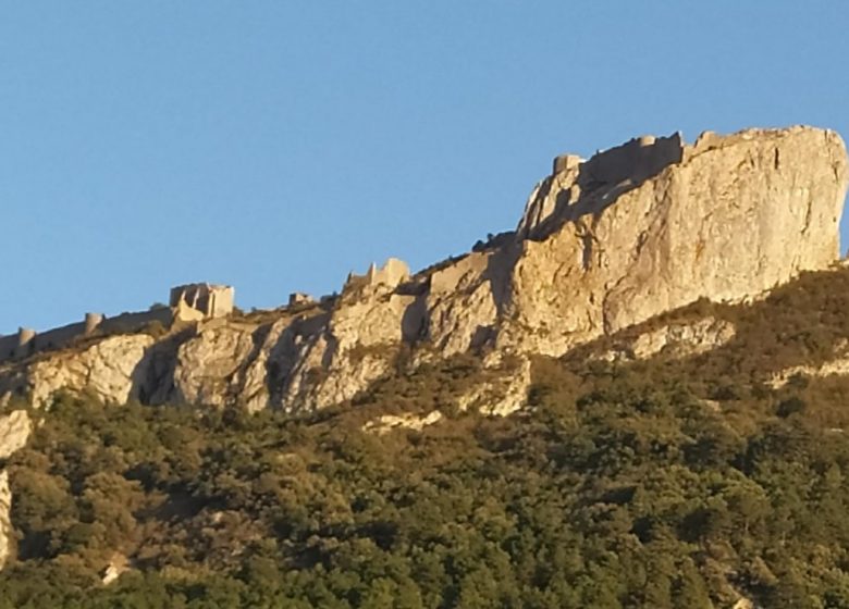 CASA RURAL EN MEDIO DE VIÑEDOS