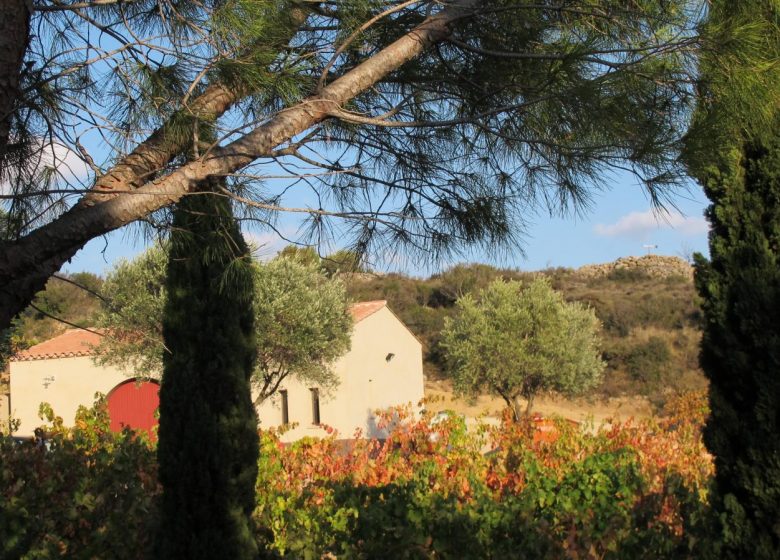 FERIENHAUS INMITTEN VON WEINBERGEN