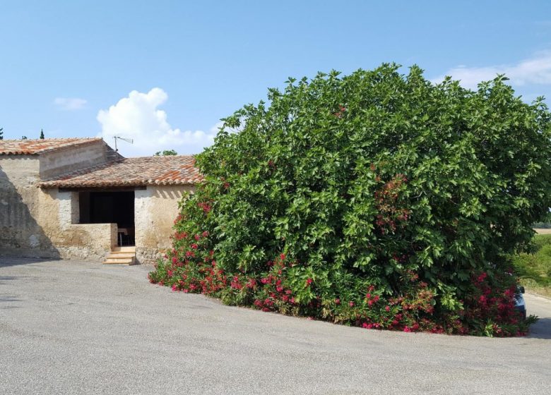 CHATEAU ST AURIOL - LA BERGERIE