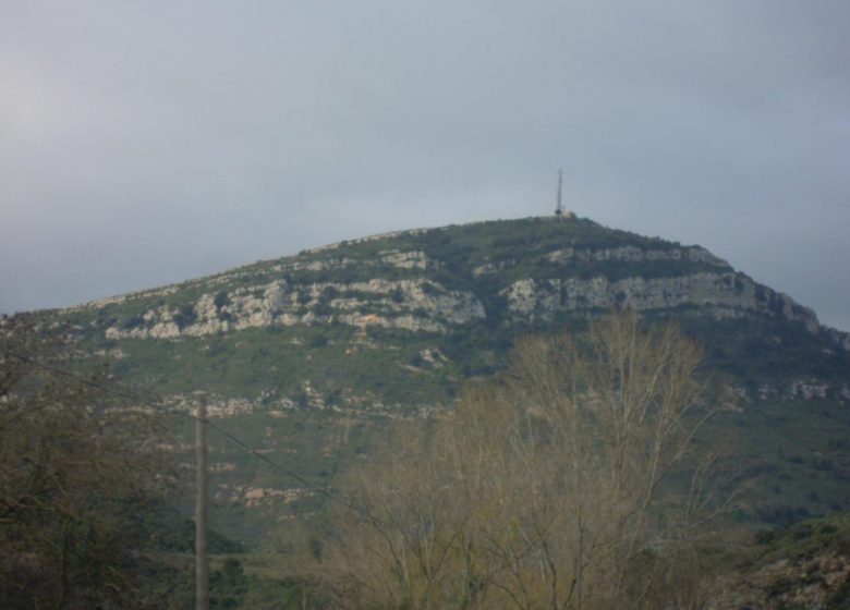 EL JARDÍN DE MARÍA