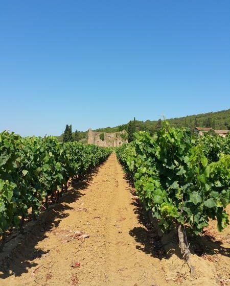 LE PATIO DES GRAGNOTTES