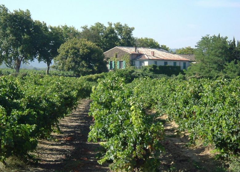 DOMAINE DE PARAZOLS G1705