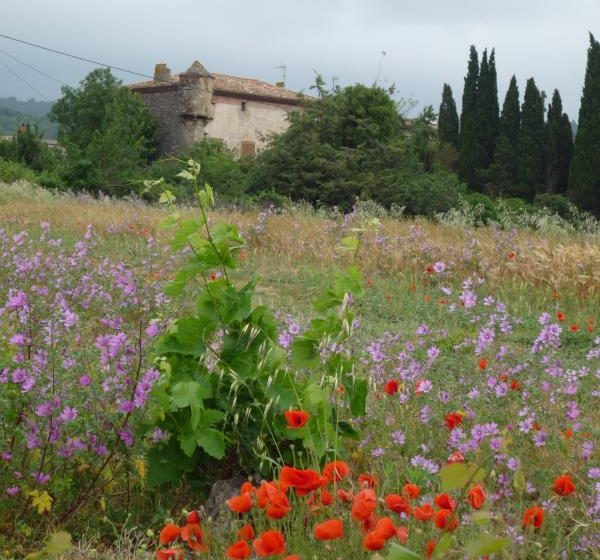 CASTELL DE VILLEMAGNE