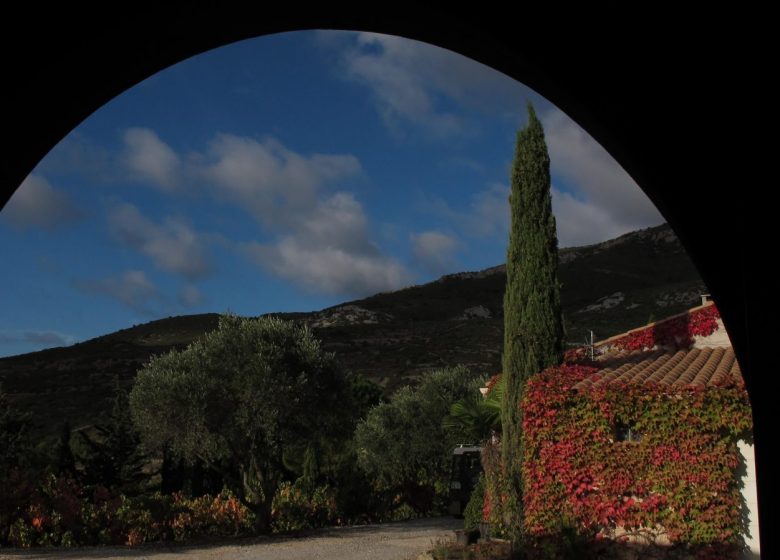 GITE AU MILIEU DES VIGNES