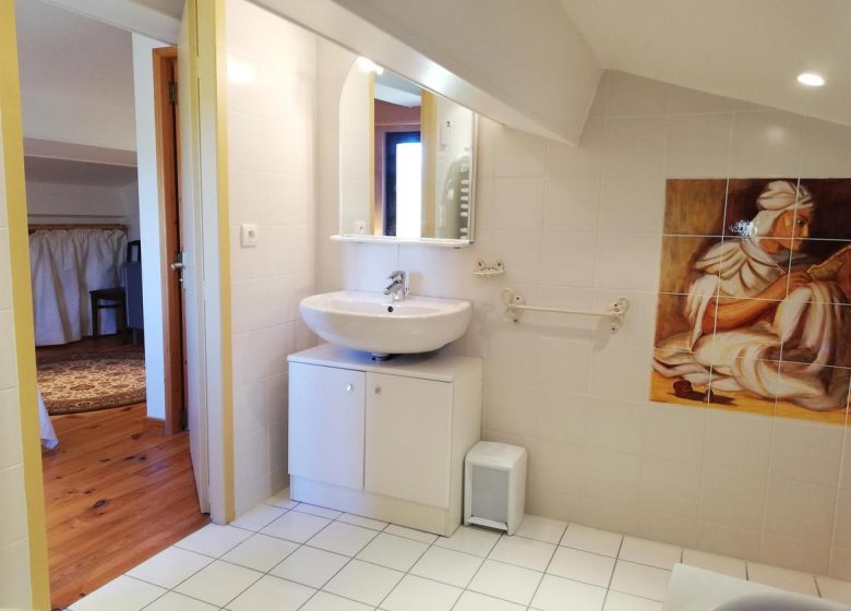 DOMAINE DES GOUDIS – GITE CEL