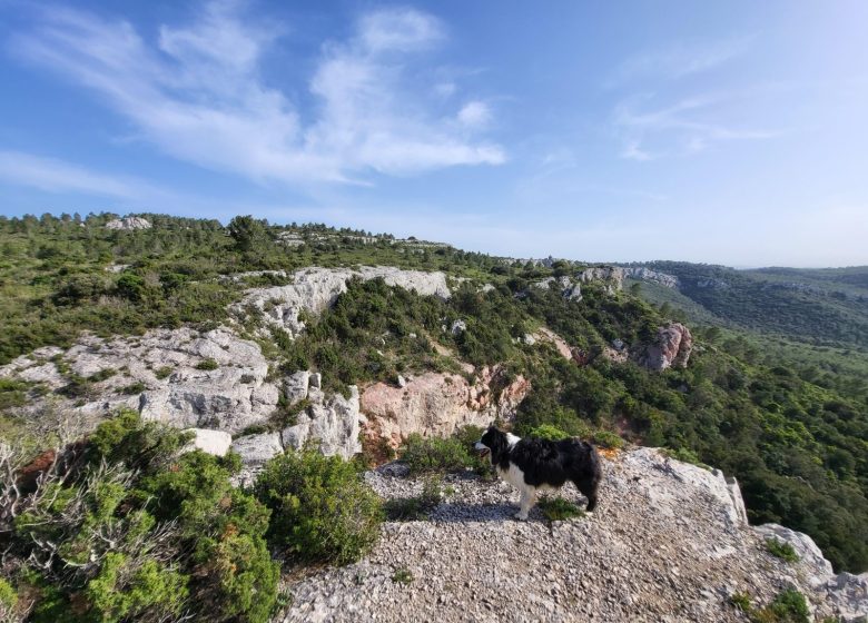 LA CABAÑA DE LA ROCA