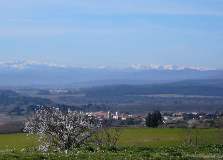 CASA RURAL VIALA