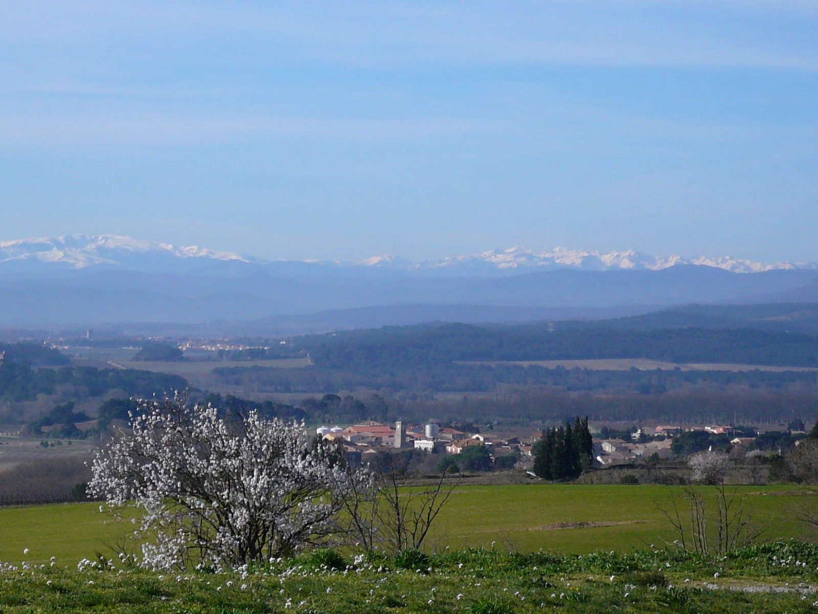 GITE DU VIALA