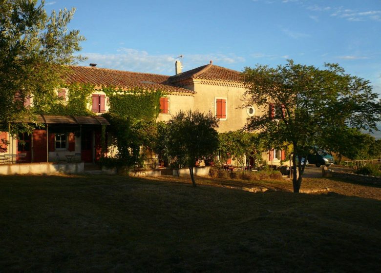 CASA VIALA