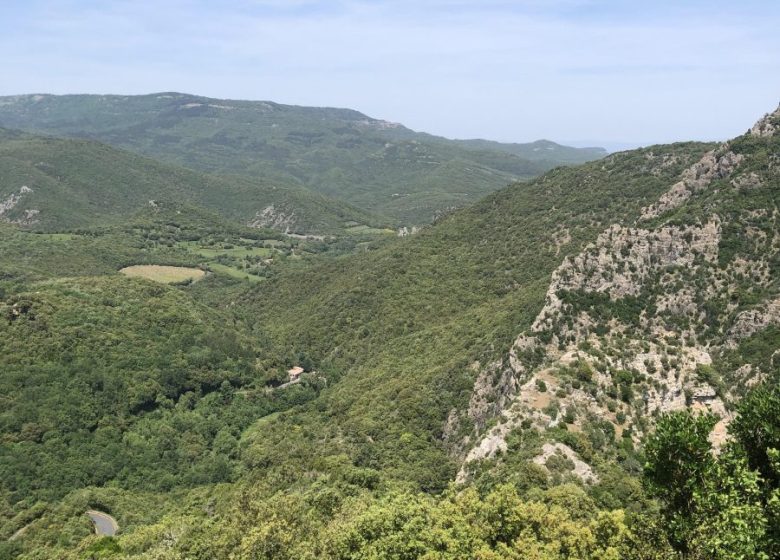 LA BARRAQUETA