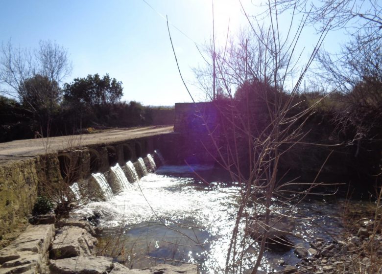 EL JARDÍN DE MARÍA