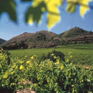 LE TROU DES GIMBOULS – ITINÉRAIRE FERMÉ