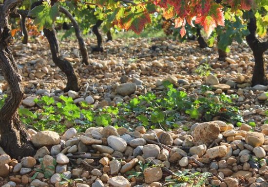 DOMAINE LA BOUYSSE