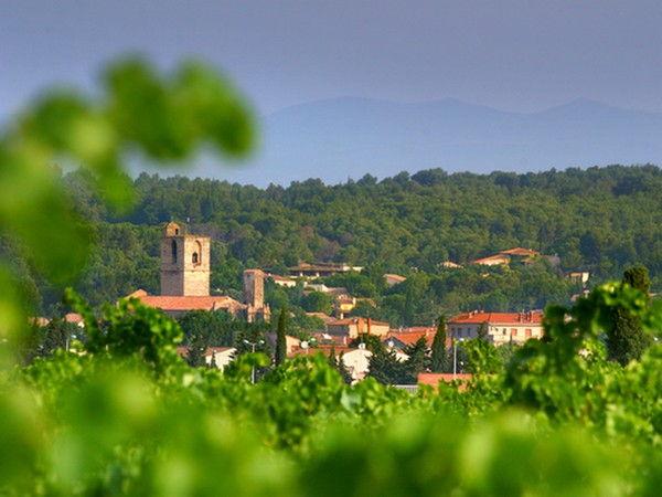 FROM MINERVOIS TO CORBIERES (BY LEZIGNAN)
