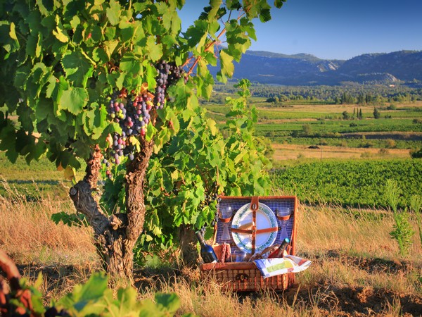 DER WEINWEG VON CORBIÈRES