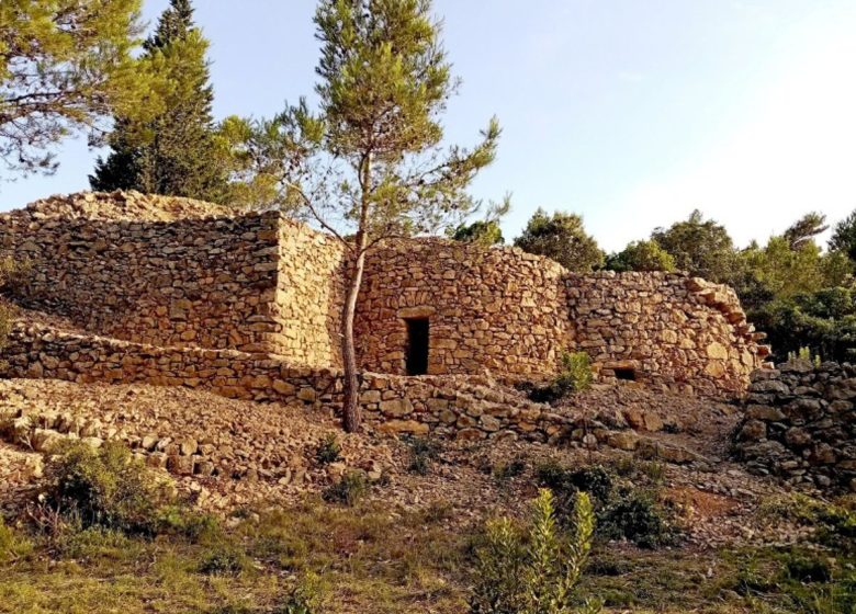 BALADE COMMENTÉE – LES CAPITELLES EN CORBIÈRES