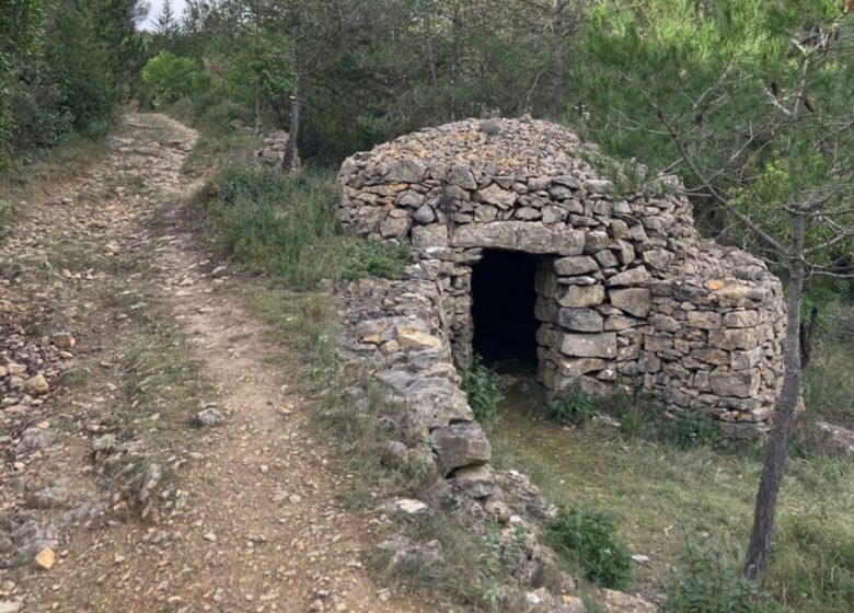 BALADE COMMENTÉE – LES CAPITELLES EN CORBIÈRES