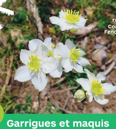 SORTIE PNR – NATURE ET CULTURE