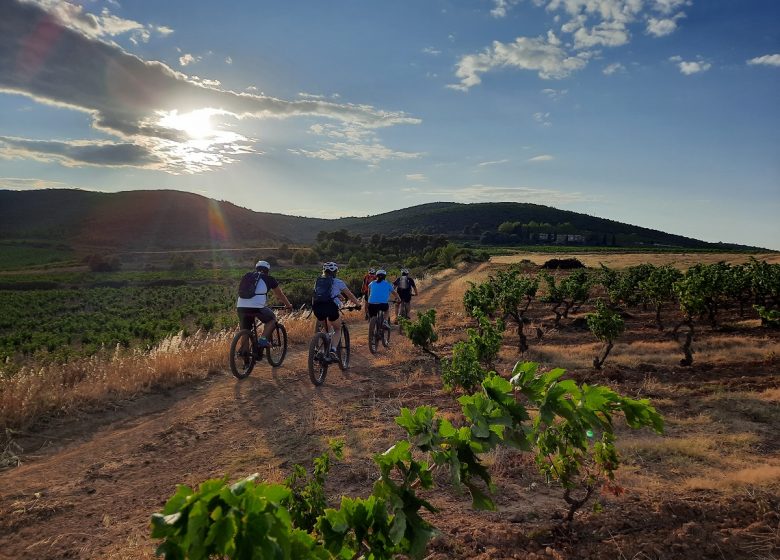 LANGUEDOC VTT ÉVASION