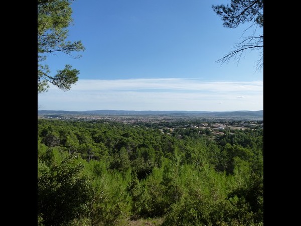 THE PINÈDE SAINT JAUMES