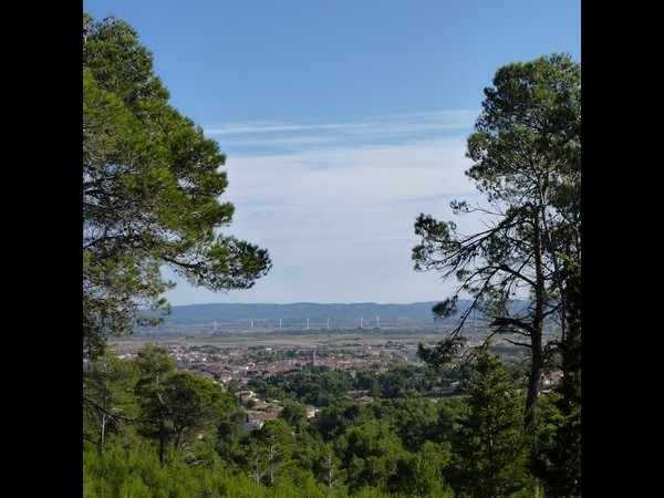 EL PINÈDE SAINT JAUMES