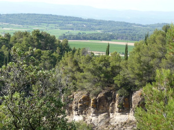 EL PINÈDE SAINT JAUMES