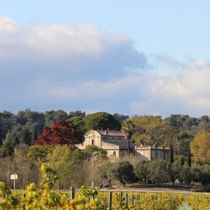LES VIGNOBLES D’EXÉA – CHÂTEAU DE SÉRAME
