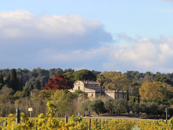 LES VIGNOBLES D’EXÉA – CHÂTEAU DE SÉRAME