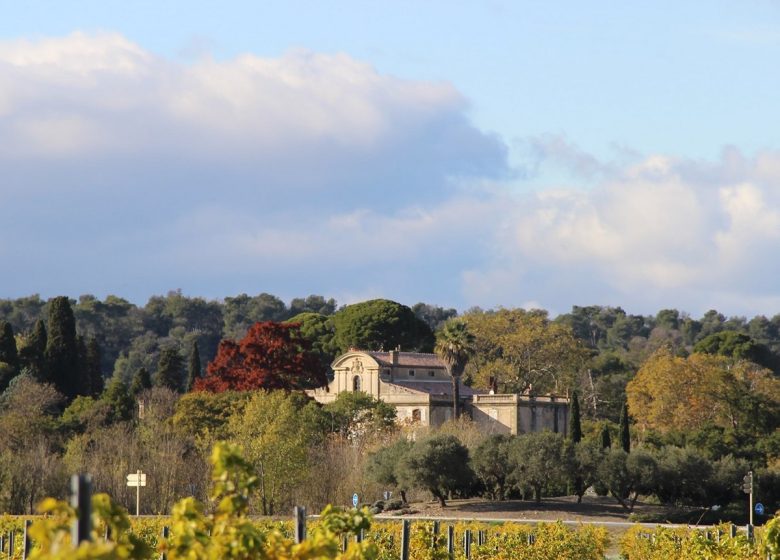 LES VIGNOBLES D’EXÉA – CHÂTEAU DE SÉRAME