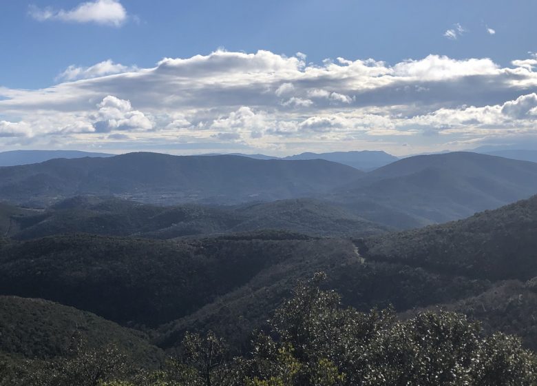 LE FER OUBLIÉ DU PLATEAU DE LACAMP
