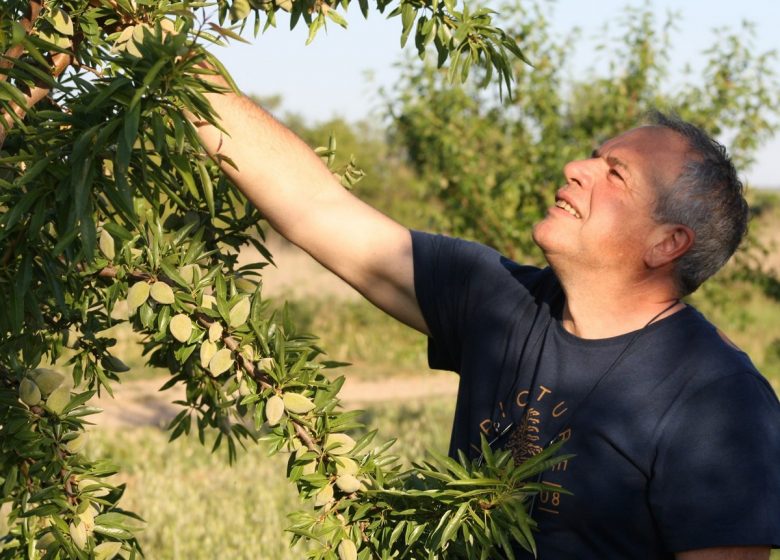 TIERRA DE ALMENDRAS