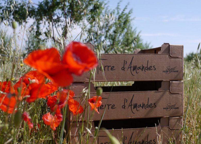 TIERRA DE ALMENDRAS