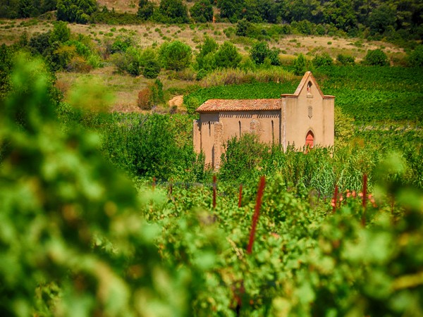 EL CAMÍ DE LA LASTENOUSE DE FRANCIS