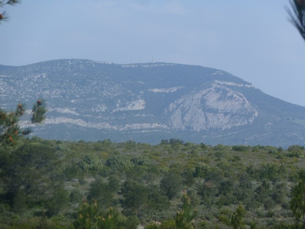 EL CAMÍ DE LA LASTENOUSE DE FRANCIS