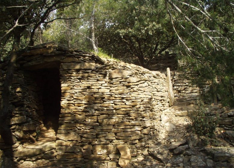 LE SENTIER DES PAYSANS BÂTISSEURS, ENTRE CULTURES ET APICULTURE